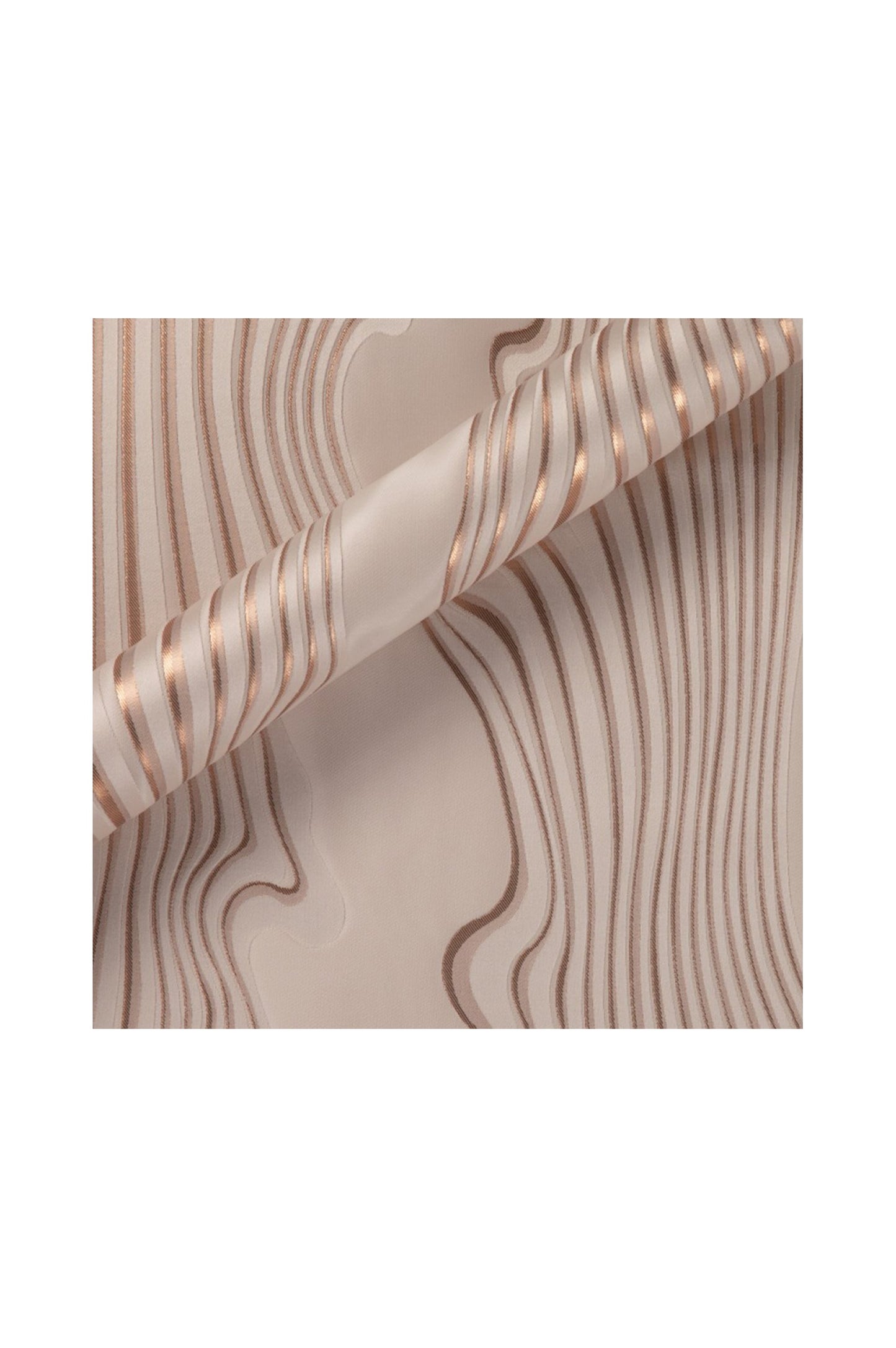 
                  
                    The Waveform
                  
                