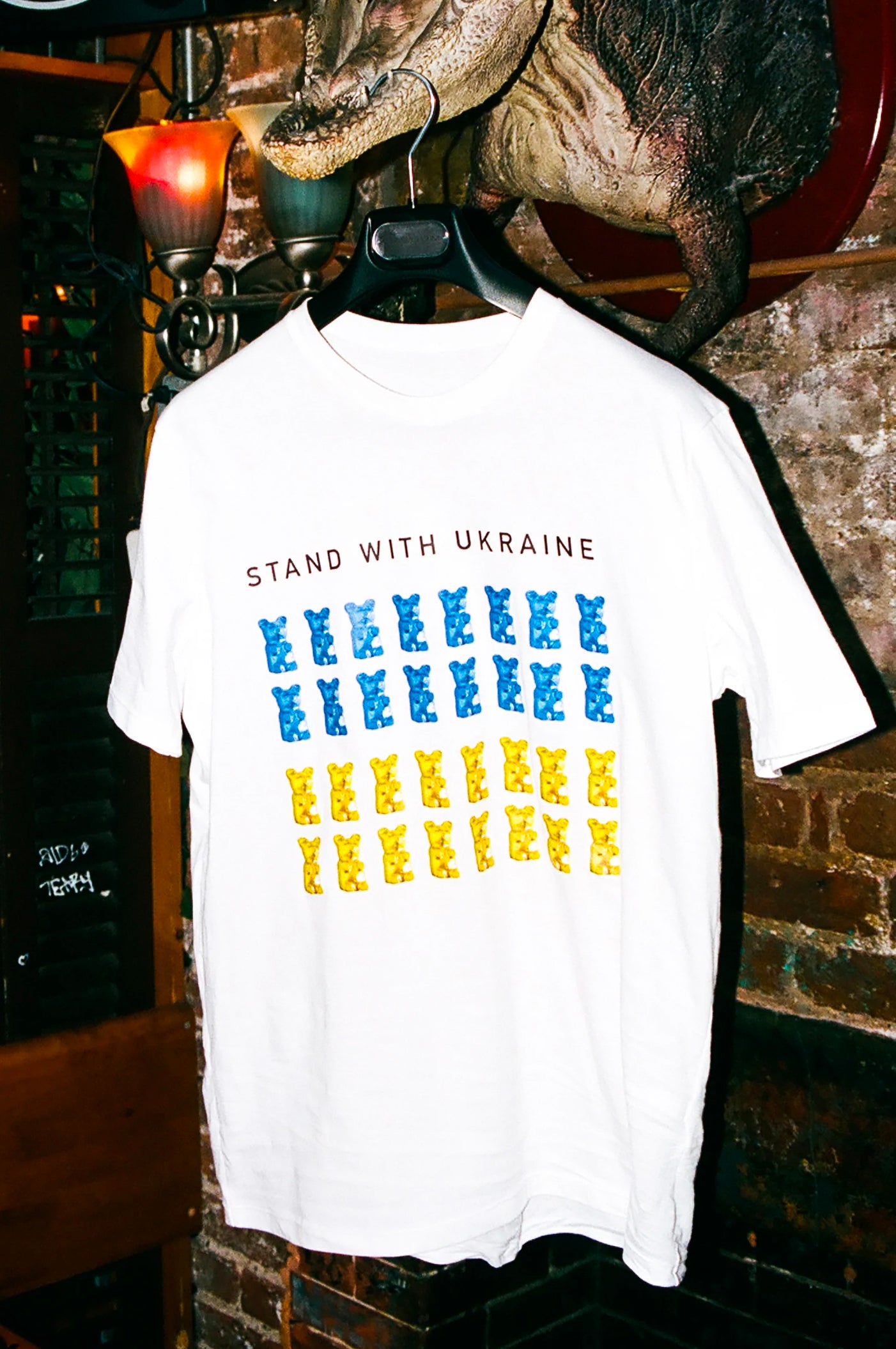 
                  
                    Stand With Ukraine
                  
                